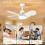 Modern Silent Ceiling Fan With Dimmable LED Light, 6 Wind Speed Settings & Remote Control, Quiet Operation 1