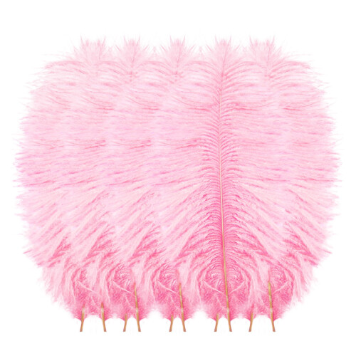 Ostrich Feathers Multicolor 10 pcs Pink for Wedding Craft 1