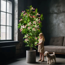 Large Artificial Ficus Tree 82 x144cm Realistic Faux Magnolia Banyan Plant for Home & Office Décor