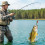 Glow Jig Hook 8cm Fluorescent Squid Jig-5 color box 1 6