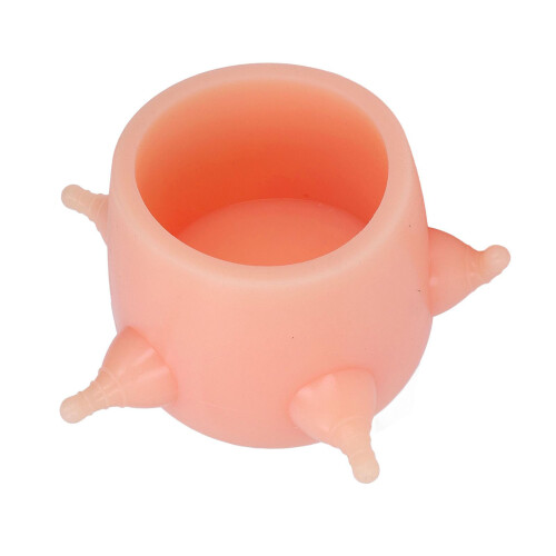 Biberon d'allaitement pour animaux de compagnie, pour chiots,
