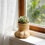 Eye Catching Pet Shape Gardening Container Suitable For Tiny 5