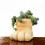 Eye Catching Pet Shape Gardening Container Suitable For Tiny 6