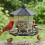 Funktionelles hängendes Vogelfuttersystem mit abnehmbaren-braun 7