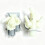 5220FR2075L Washing Machine Cold Water Inlet Adapter Quick 5