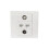 No Solder Design 4 Port Multimedia Panel Direct-RJ45 CAT5E 1