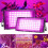 USB Powered LED Plant Grow Light with Full Spectrum-100W 3