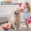 Talking Plush Pig Dog Toy Vibrating and Bouncing-tigers 7