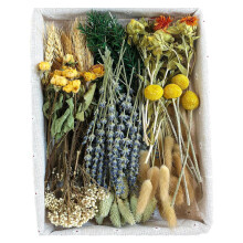 Real Nature Dried Flower Art Pressed Flower Home-Green