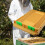 Durable Plastic Beekeeping Stand Providing Increased Strength 6