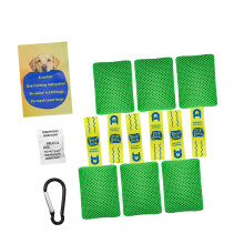 Ensemble d'entraînement au parfum pour chien,-trompette verte