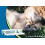 Probiotic & Prebiotic Paste For Dogs & Cats 15ml 8