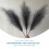 Artificial Pampas Grass97cm Blue Grey Brown White Pink 6