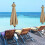 Polyester Umbrella Canopy270cm Waterproof UV Protection 5