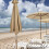 Polyester Umbrella Canopy270cm Waterproof UV Protection 6