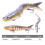 High Strengths Slow Sinking Baits Features Flexible Tail-Set A 3