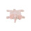 Gelukkige Paard Olifant Ely doudou - 27 cm 1