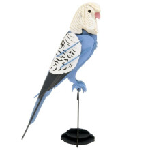 Fridolin - 3D Paper Model Budgerigar