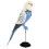 Fridolin - 3D Paper Model Budgerigar 1