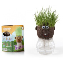 Cultivation pot - RADIS ET CAPUCINE - Mr Potato - Grass seed - Capillary water reserve - Plastic pot