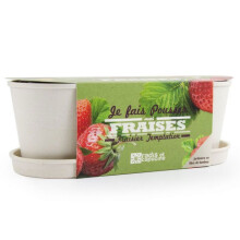 Jardineira de cultivo - RADIS ET CAPUCINE - Kit de Morangos Temptation F1 - Fibras de bambu - Pronto para uso - Biodegradável