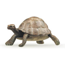Figurinha Tartaruga - PAPO - A VIDA SELVAGEM - Interior - Mistura - A partir de 3 anos