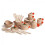 Erzi - Juego de vajilla natural 36 pcs 1