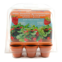 Mini greenhouse - RADIS ET CAPUCINE - 6 pots - Complete eco-friendly kit - For indoor &amp; balcony