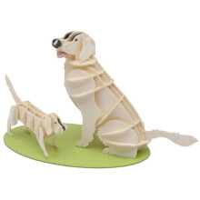 3D-papiermodel - FRIDOLIN - Golden Retriever - Karton - 12,585,5 cm - Vanaf 8 jaar