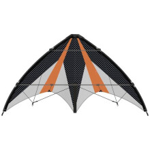 Günther Flugspiele 2 linhas Pipa acrobática Synergy 125 GX Envergadura (detalhes) 1250 mm Força do vento suportada