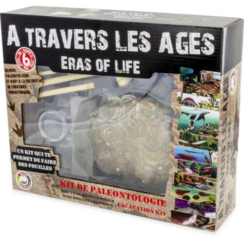 Kit Paleo: Através das Eras