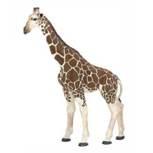 Figuriini Giraafi PAPO - Malli 50096 - Leikkikalu 3-vuotiaille ja vanhemmille - Sisätilat