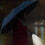 Foldable Automatic Umbrella107cm10Steel Ribs 4
