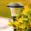 Solar Pathway Lights IP65ABS17x5x4in8Pack 2