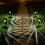 Solar Pathway Lights IP65ABS17x5x4in8Pack 7