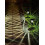 Solar Pathway Lights IP65ABS17x5x4in8Pack 8