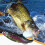 Realistische Paddle Tail Swimbaits T Tail Baits Lokken-G 4