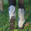 Adjustable Snow Boot Gaiters Waterproof Hiking Leg-Black 6