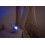 Cloud b Cloud b - Veilleuse Tranquil Whale Blanche rechargeable - BTL DIFFUSION 4