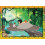 Ravensburger Puzzle Il libro della giungla 250 pcs - RAVENSBURGER - Verde - 250 pezzi - Da 8 anni 4