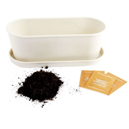 Radis et Capucine - Jardinière en bambou aromates bio 1