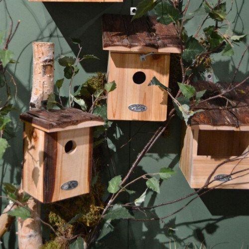 Vogelhaus mit Rinde Dach für Goldhähnchen 1
