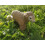 Wudimals - Figuriini Mouton - K-PLAY 4