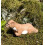 Wudimals - Hermine-figuriini - K-PLAY 2
