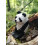 Wudimals - Figuriini Panda - K-PLAY 2