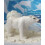 Wudimals - Estatueta urso polar - K-PLAY 2