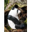 Wudimals - Figuriini Panda - K-PLAY 6