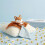 Doudou et Compagnie - Doudou attaccapacifier Renard Timo 4