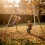EXIT TOYS EXIT Silvi Wooden Swing Set 2