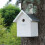 White nesting box for blue tit - Esschert Design 2